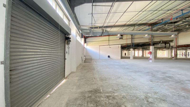 To Let commercial Property for Rent in Observatory Western Cape